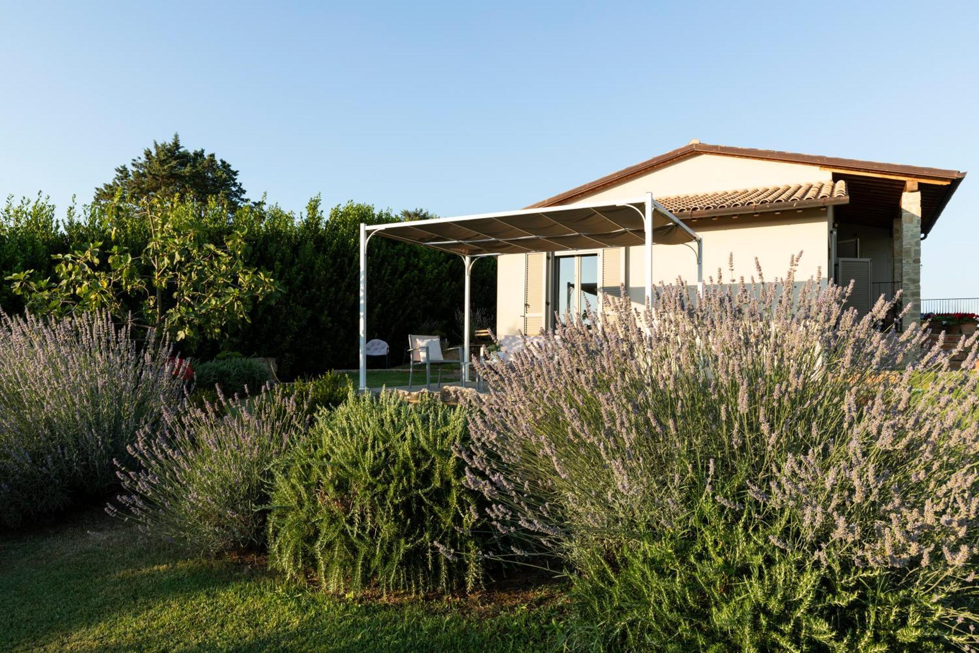 Nonno Gino Suite Monte San Savino Exterior photo